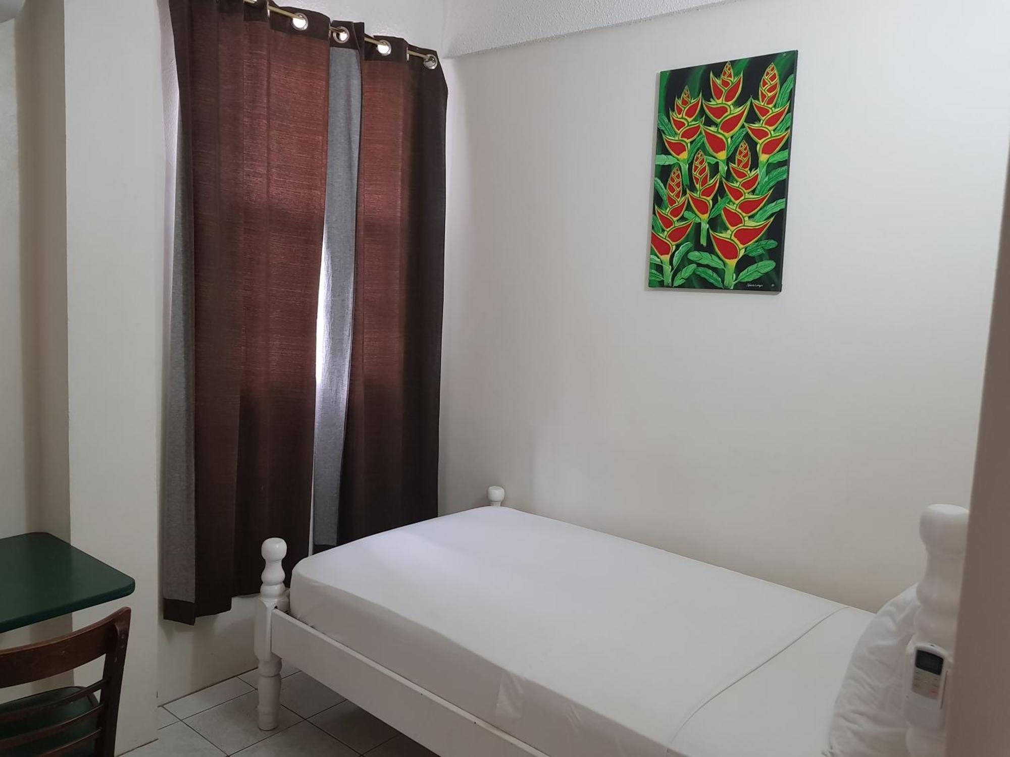 St. James Guesthouse Roseau Esterno foto